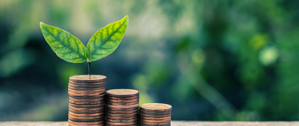 Finance durable et green washing