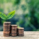 Finance durable et green washing
